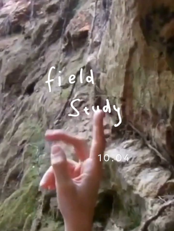 Field Study Collection