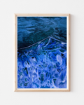 Hidden Blue