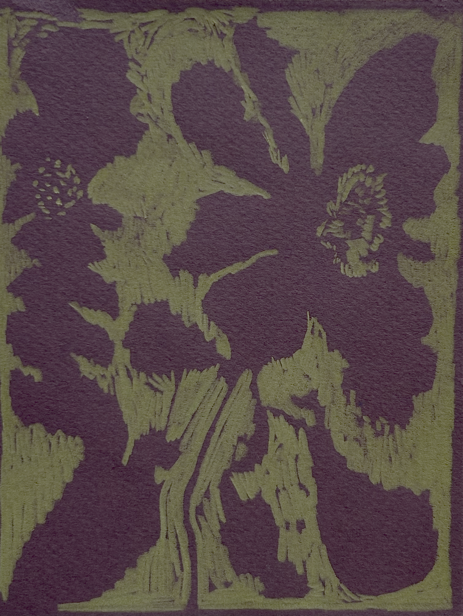 Silhouette Study III