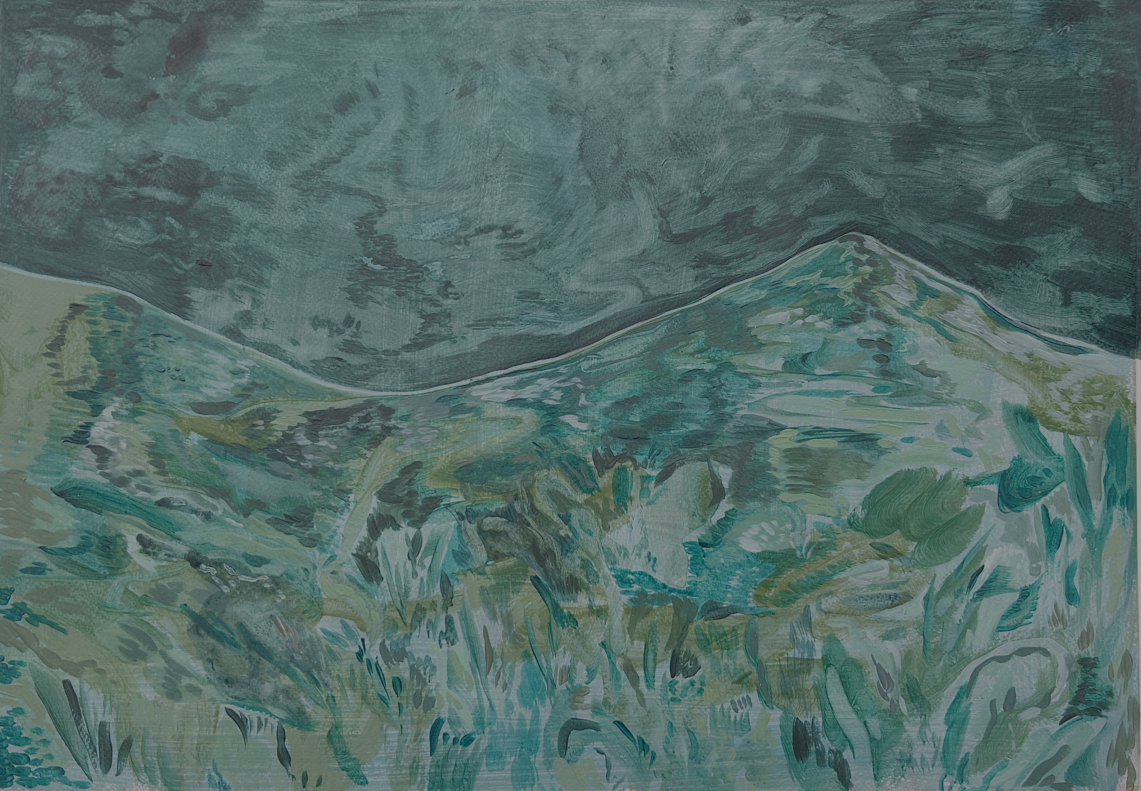 Calitzdorp Landscape