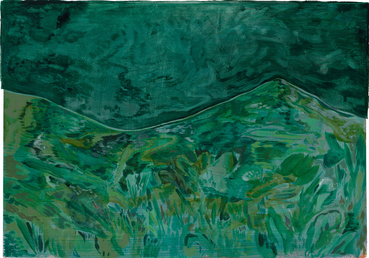 Calitzdorp Landscape