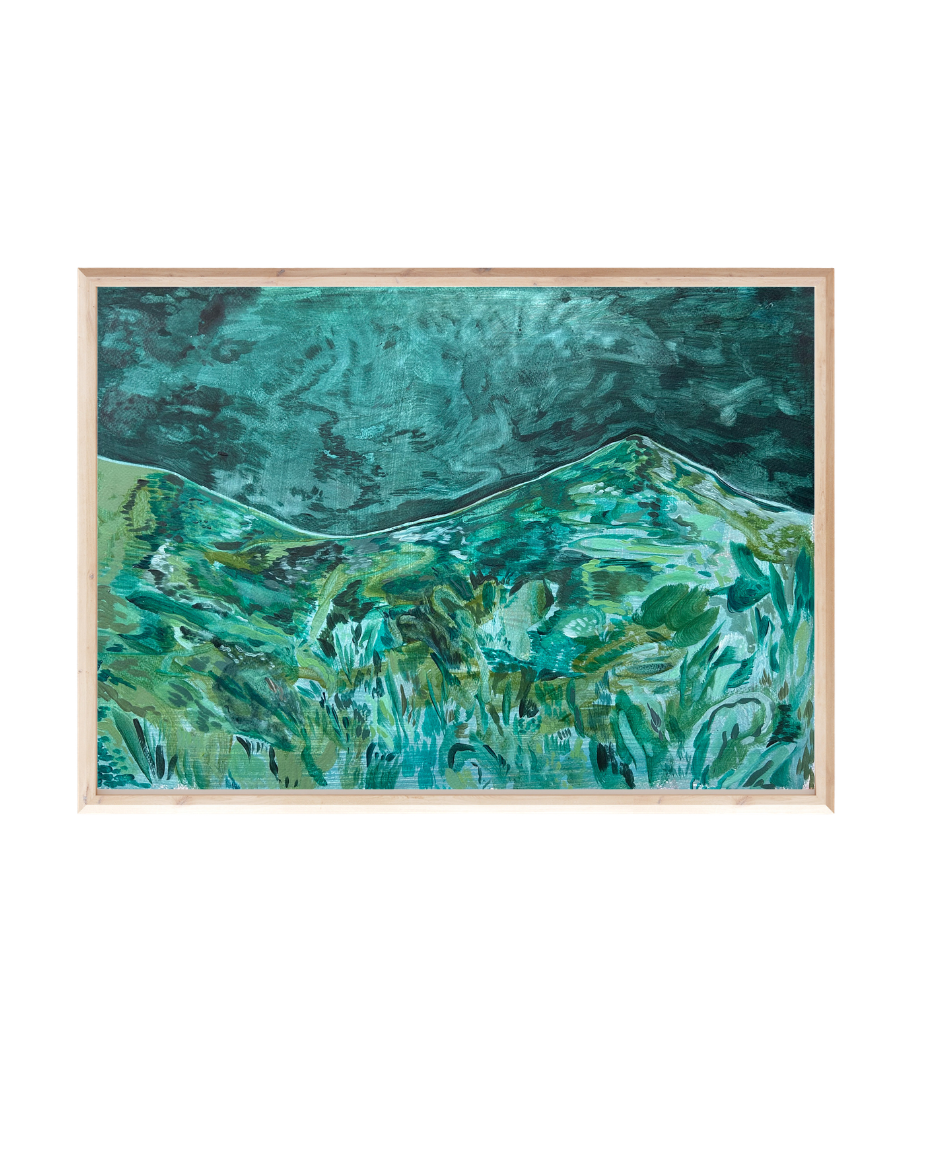 Calitzdorp Landscape